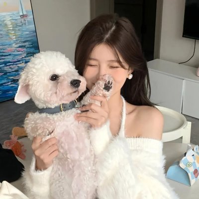我在六扇门的日子
